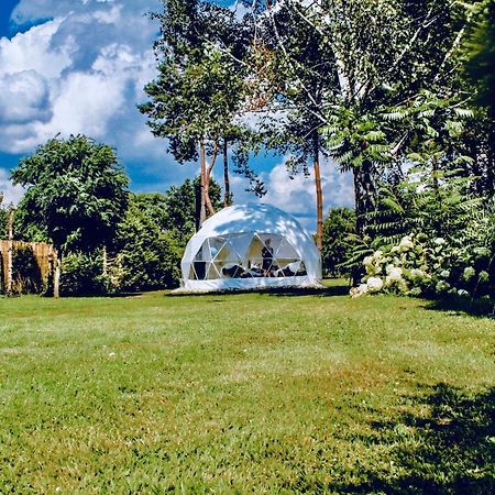 B Our Guest At Your Cozy Hideaway Dome Near Dresden Frauendorf  Exterior photo